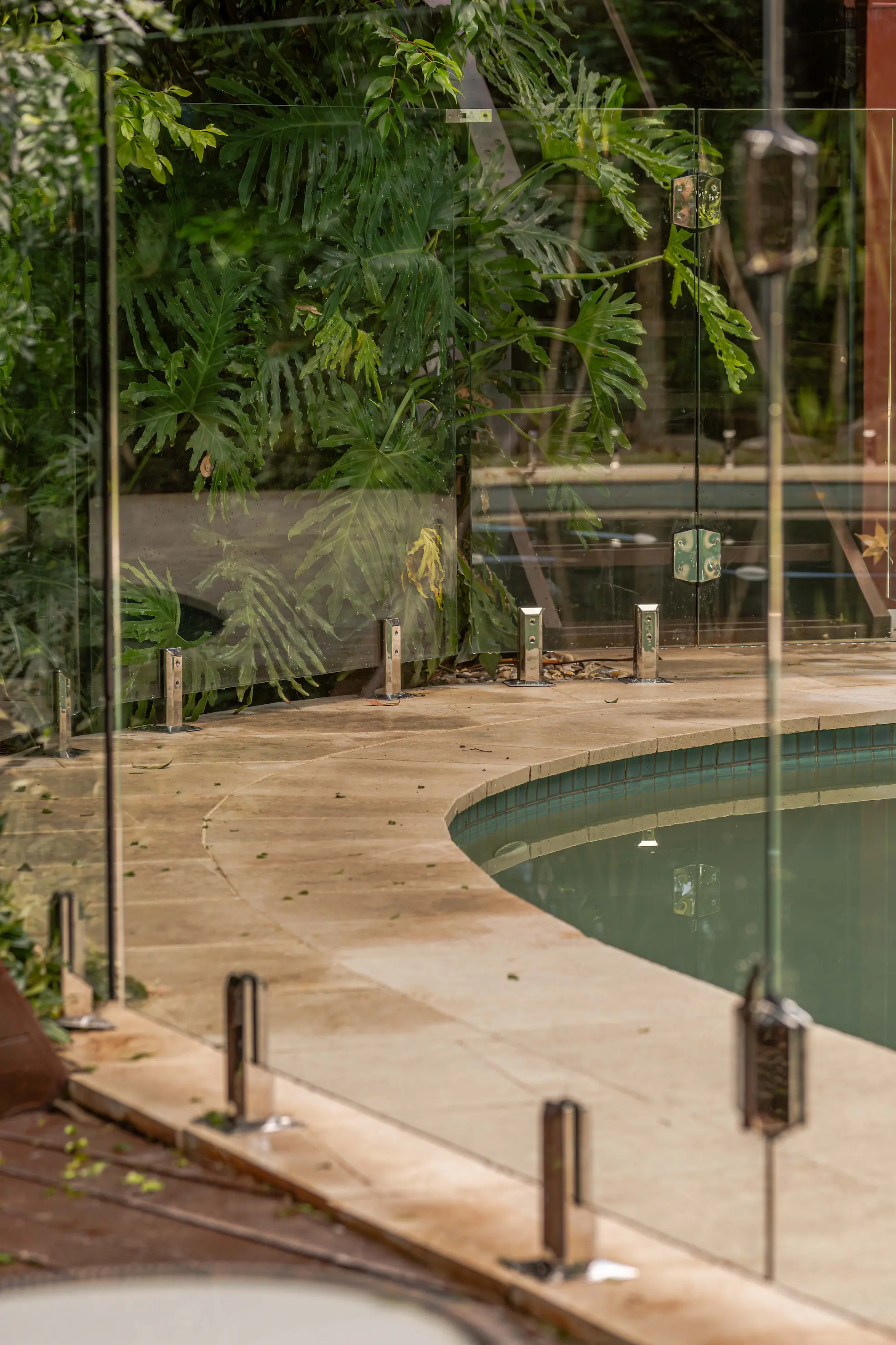 Glass pool fence gate garden.
