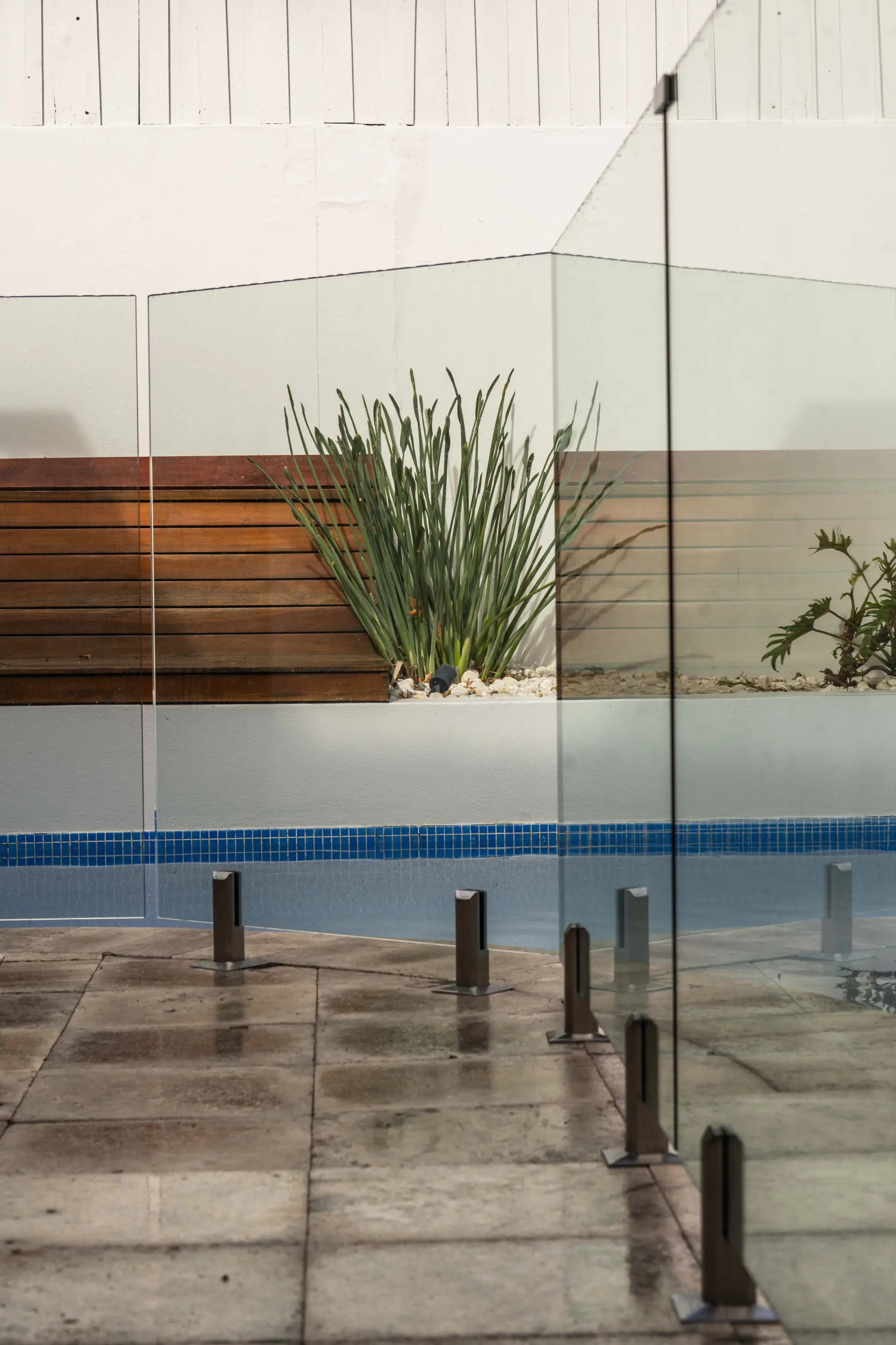 Glass pool fence planter view.